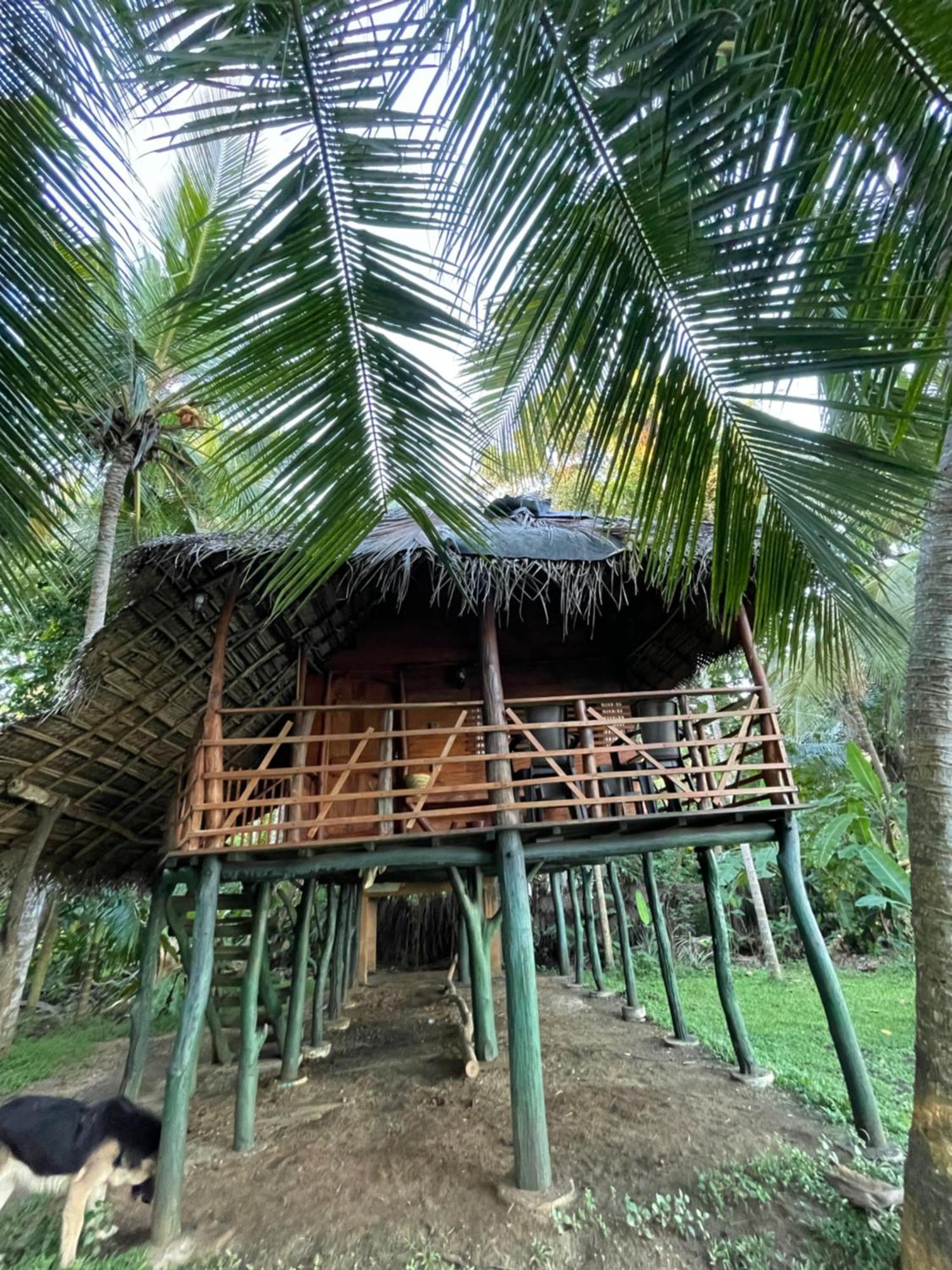 Lakeside Cabana Tissamaharama Hotel Exterior photo